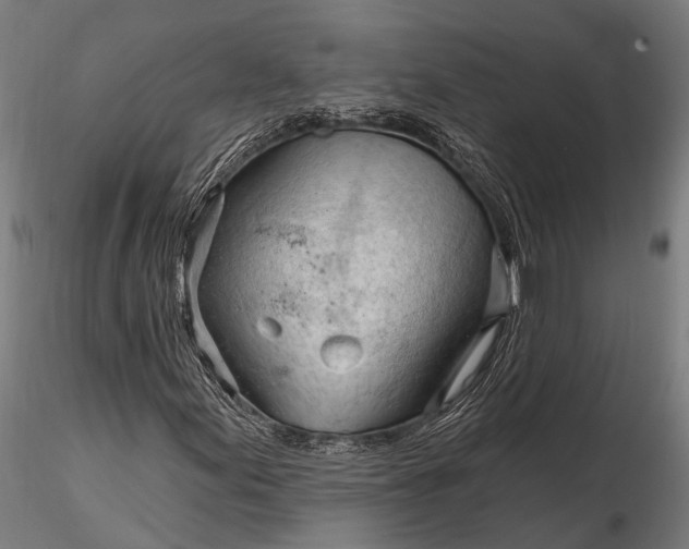 X0000116321155200912151236