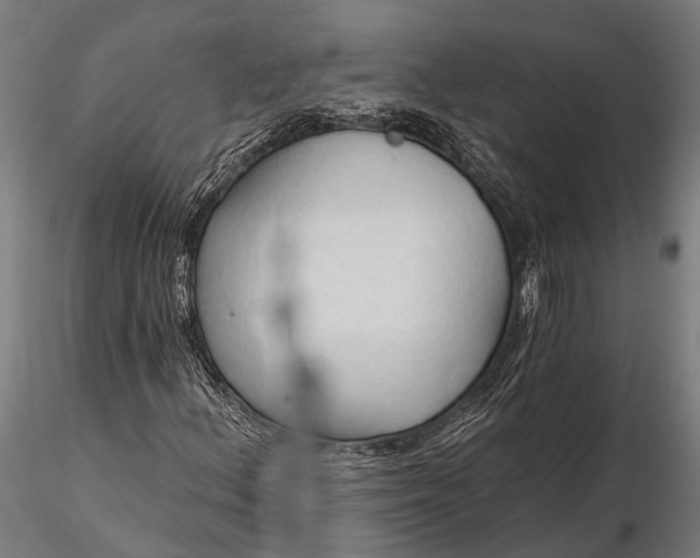 X0000116321156200912151236