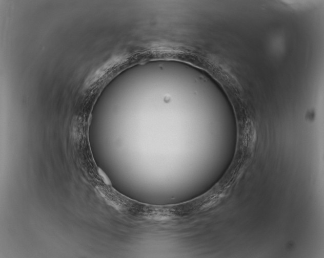 X0000116321157200912151236