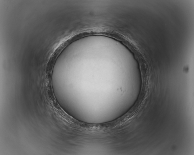 X0000116321160200912151236