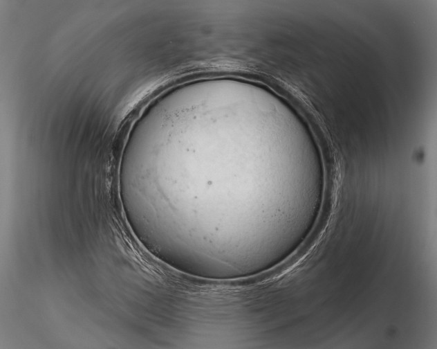 X0000116321163200912151236