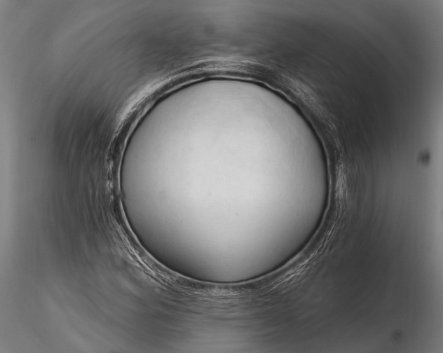 X0000116321164200912151236