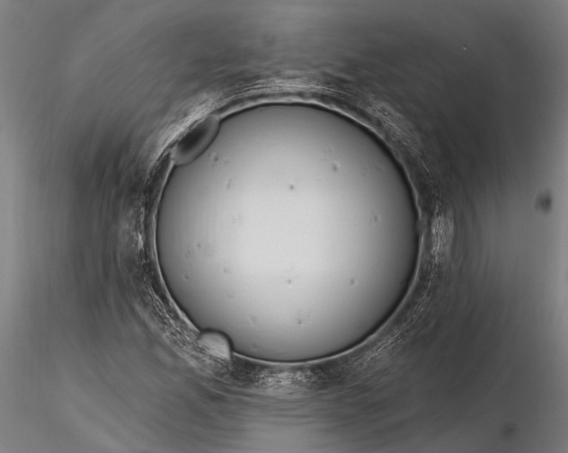 X0000116321165200912151236