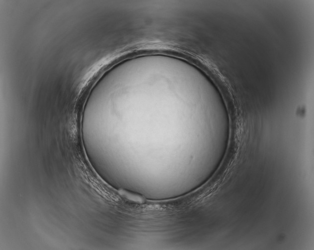 X0000116321167200912151236