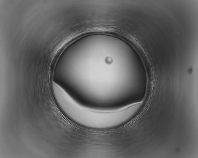 X0000116321173200912151236