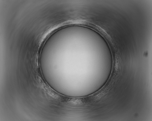 X0000116321174200912151236