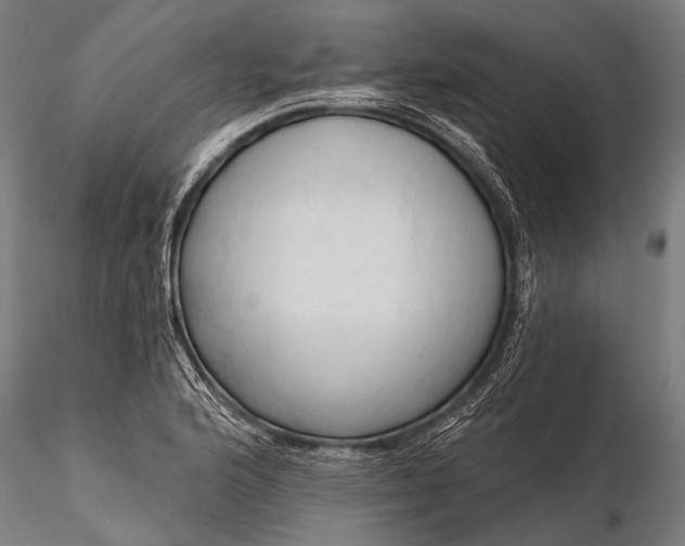 X0000116321176200912151235