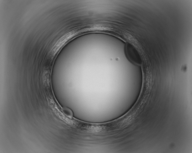 X0000116321177200912151235