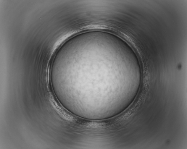 X0000116321179200912151235