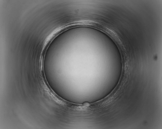 X0000116321180200912151235