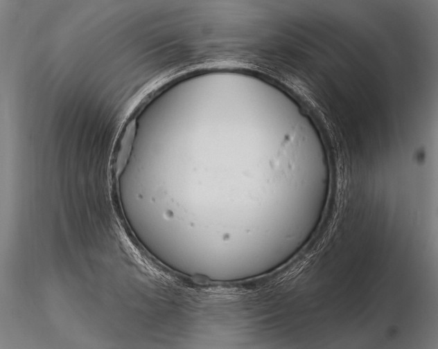 X0000116321181200912151235