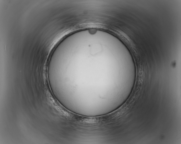 X0000116321182200912151235