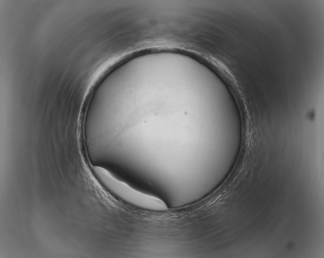 X0000116321183200912151235