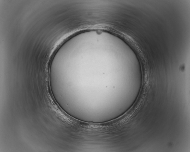 X0000116321184200912151235