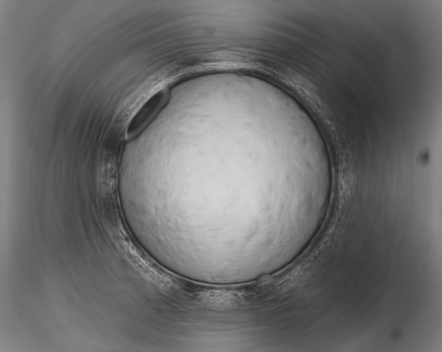 X0000116321185200912151235