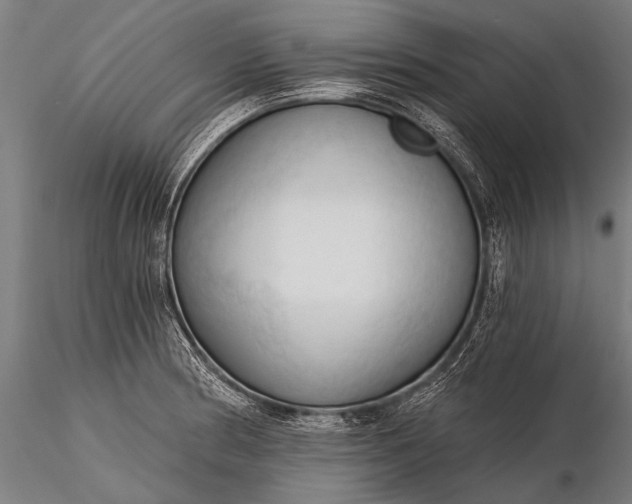 X0000116321186200912151235