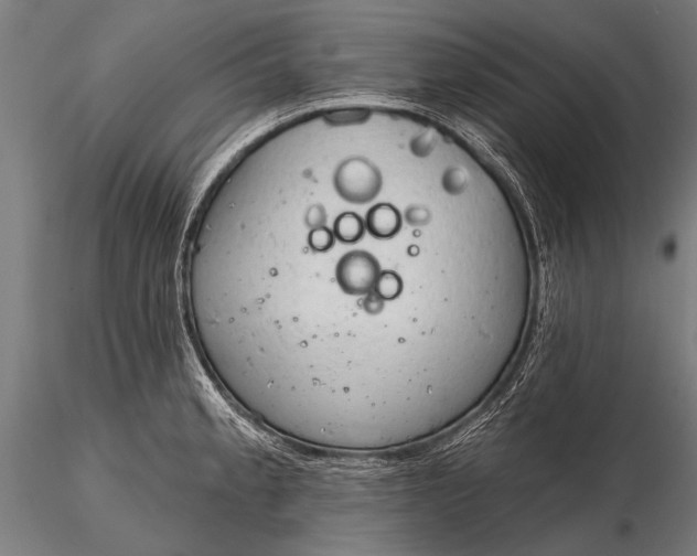 X0000116321189200912151235