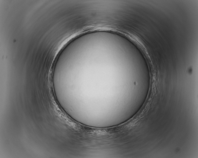 X0000116321190200912151235