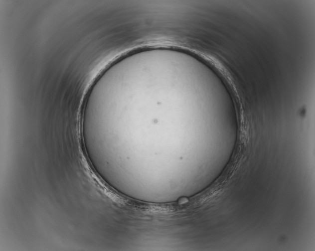 X0000116321191200912151235