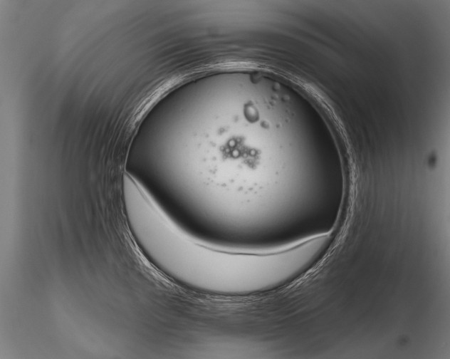 X0000116321193200912151235