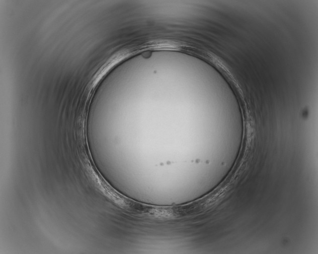 X0000116321194200912151235