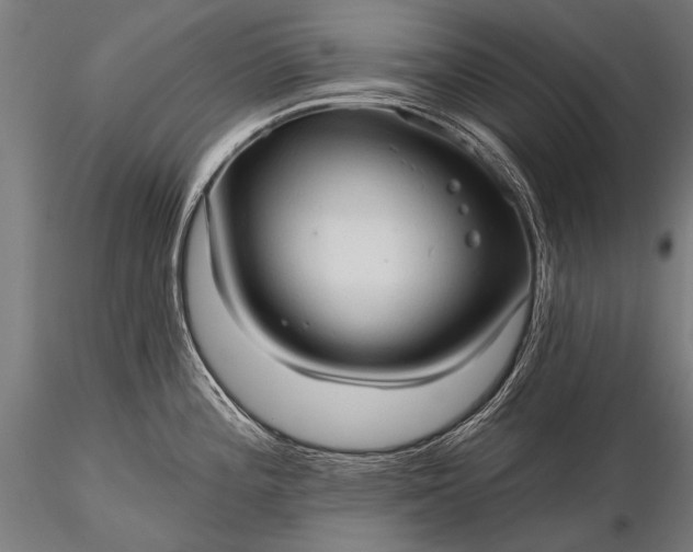 X0000116321196200912151235