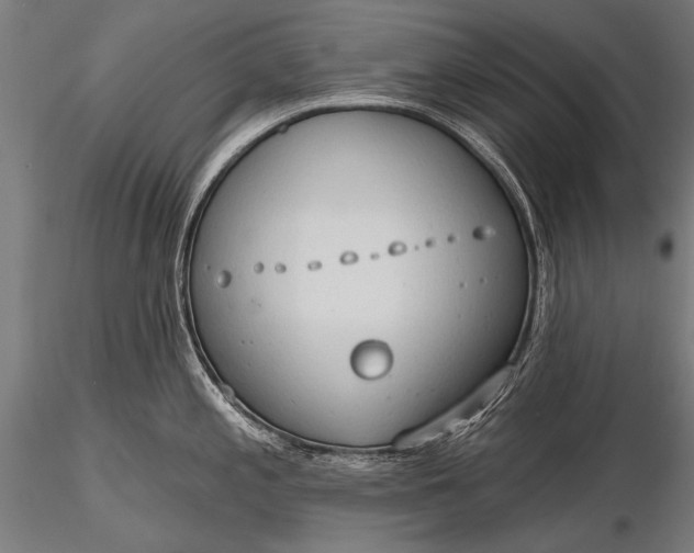 X0000116321197200912151235