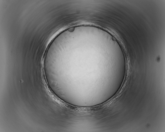 X0000116321198200912151235