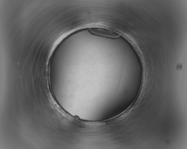 X0000116321200200912151235