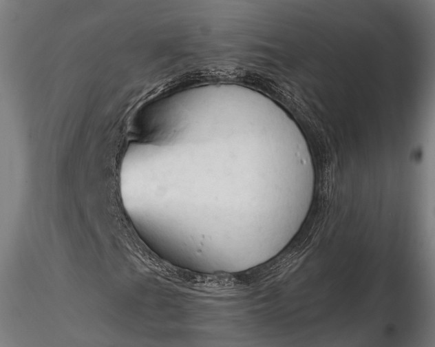 X0000116321201200912151235