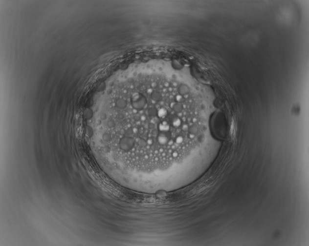 X0000116321203200912151235