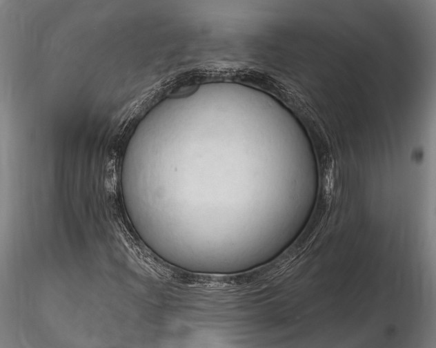 X0000116321204200912151235