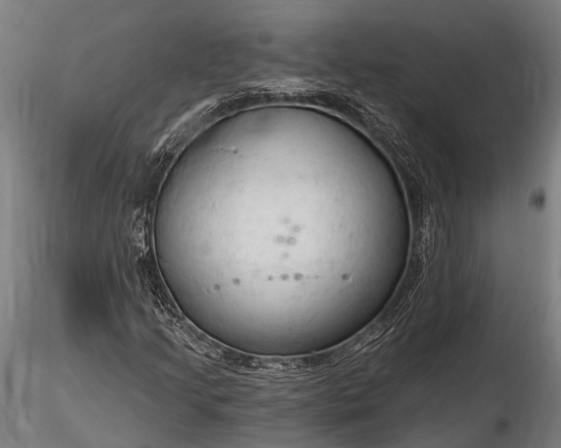 X0000116321205200912151235