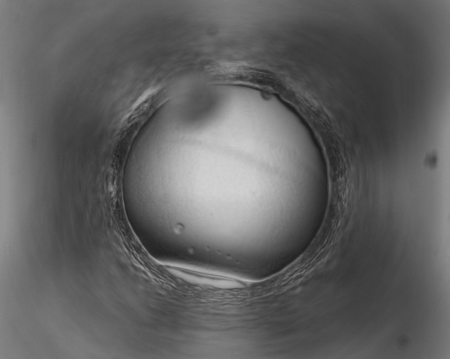 X0000116321206200912151235