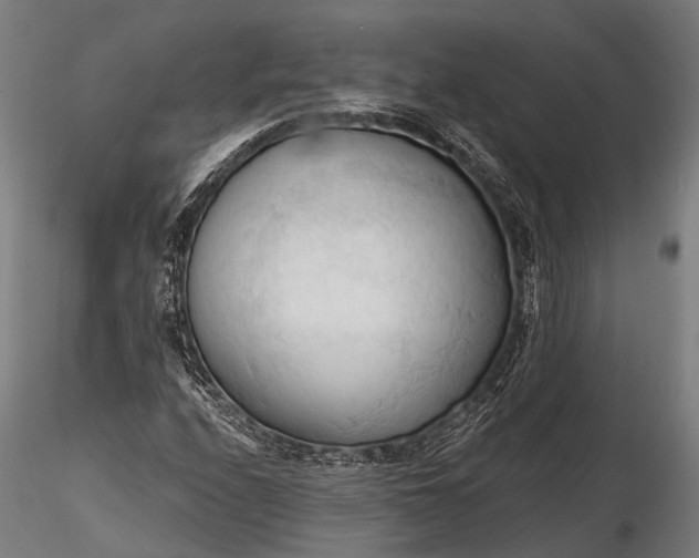 X0000116321208200912151235