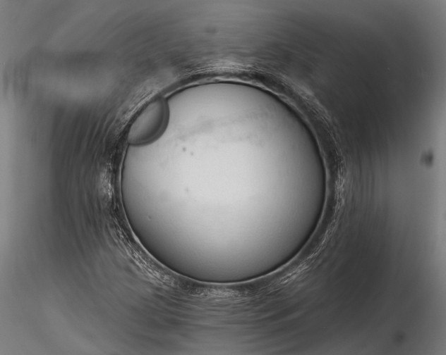 X0000116321209200912151235