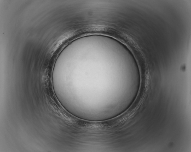 X0000116321210200912151235