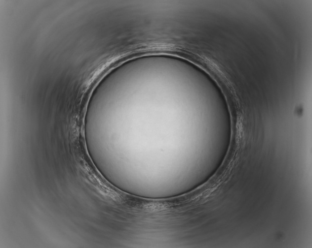 X0000116321212200912151235