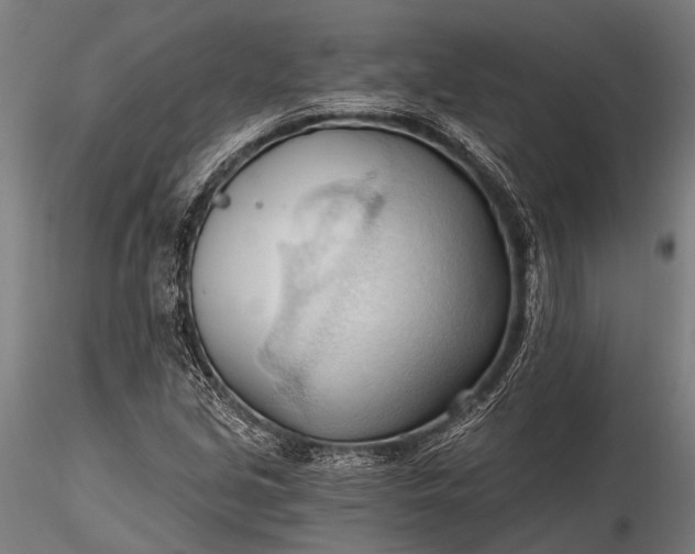 X0000116321213200912151235