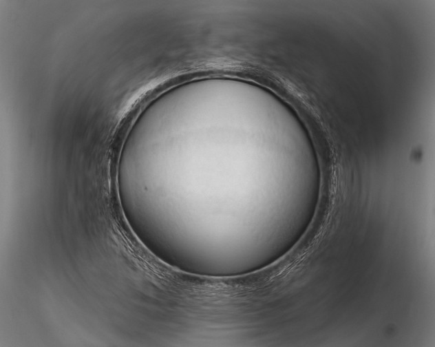 X0000116321214200912151235