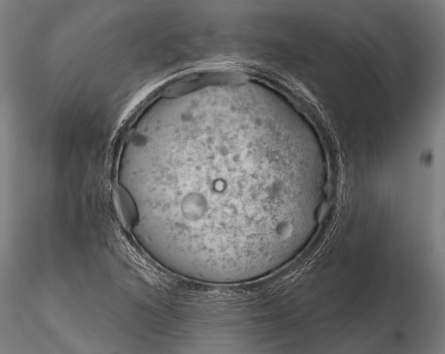 X0000116321216200912151235