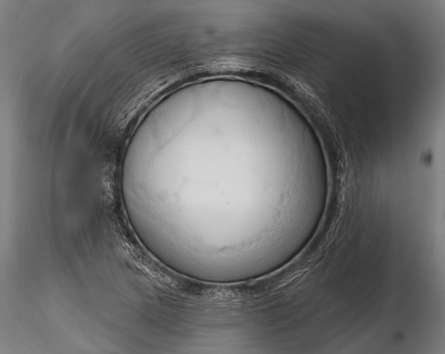 X0000116321217200912151235