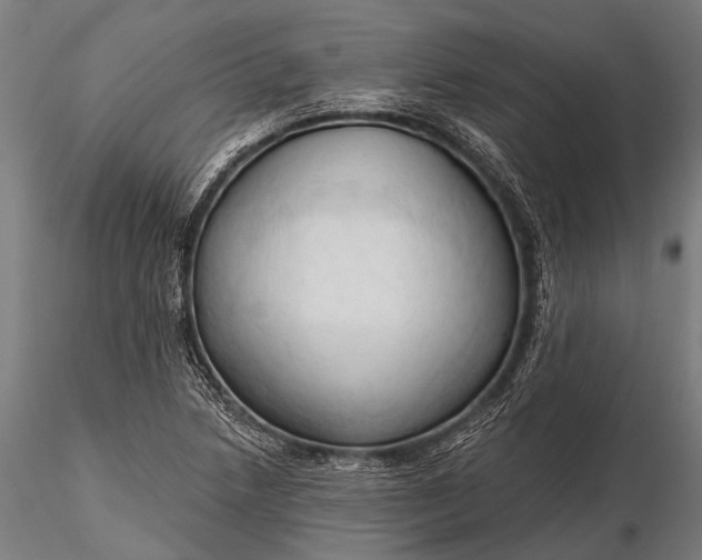 X0000116321218200912151235