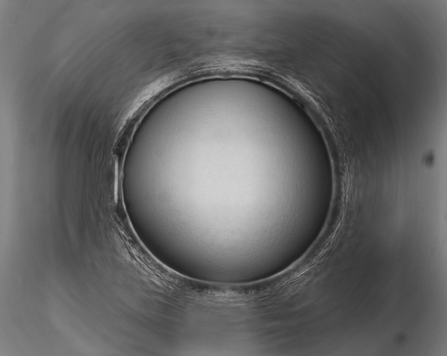 X0000116321219200912151235