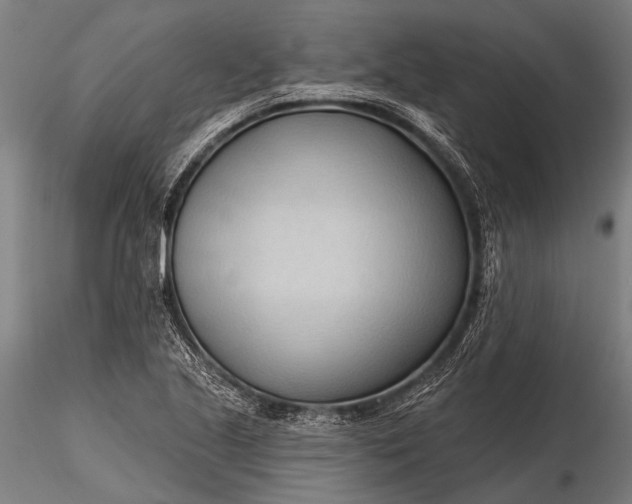 X0000116321221200912151235