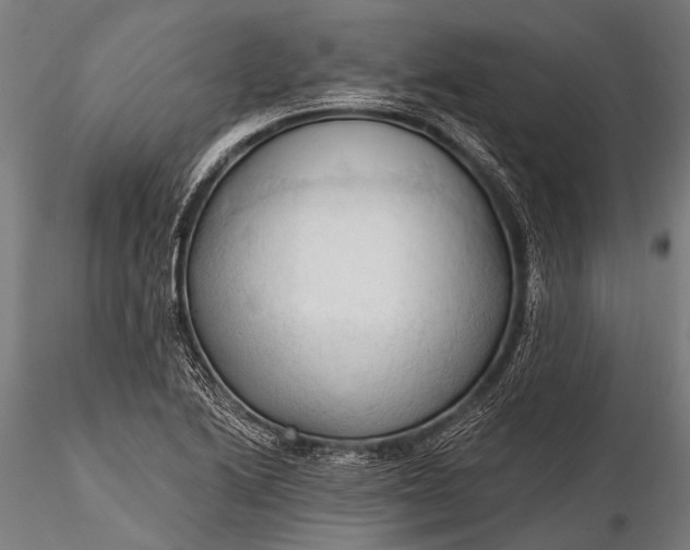 X0000116321222200912151235