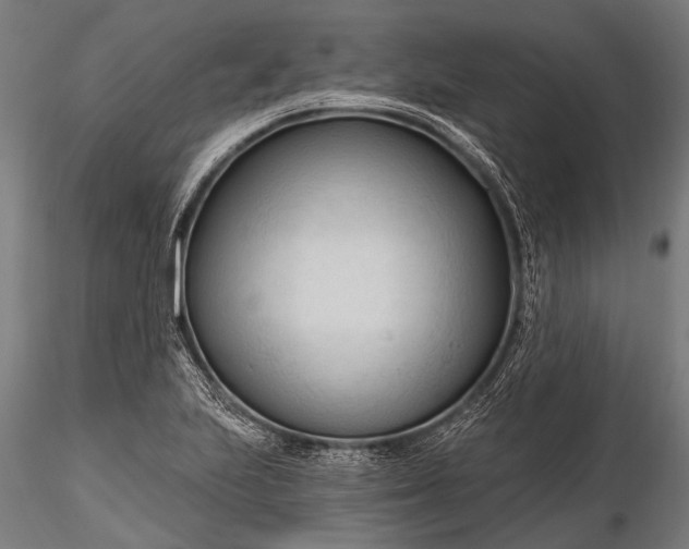 X0000116321223200912151235