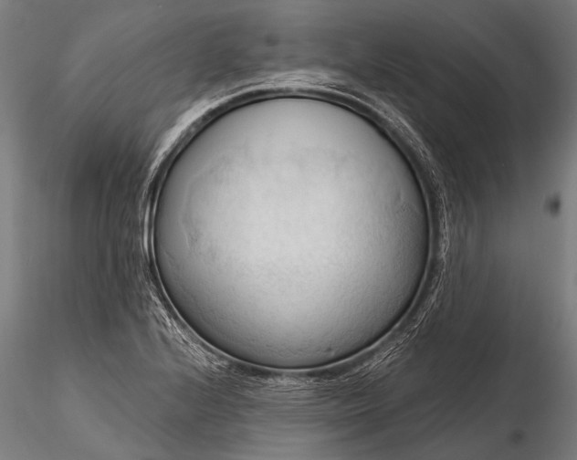 X0000116321224200912151235