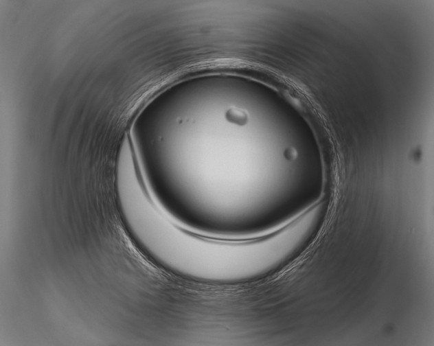 X0000116321225200912151235