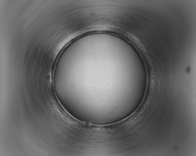 X0000116321226200912151235